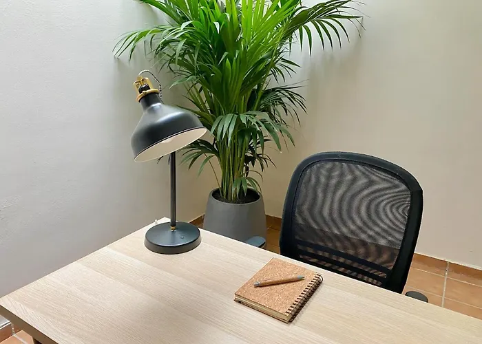 Luxury Teno Private Heated Pool Free Car Except Christmas * 阿德耶